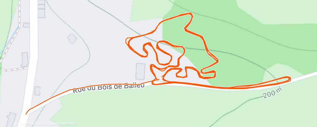 Карта физической активности (Reco)