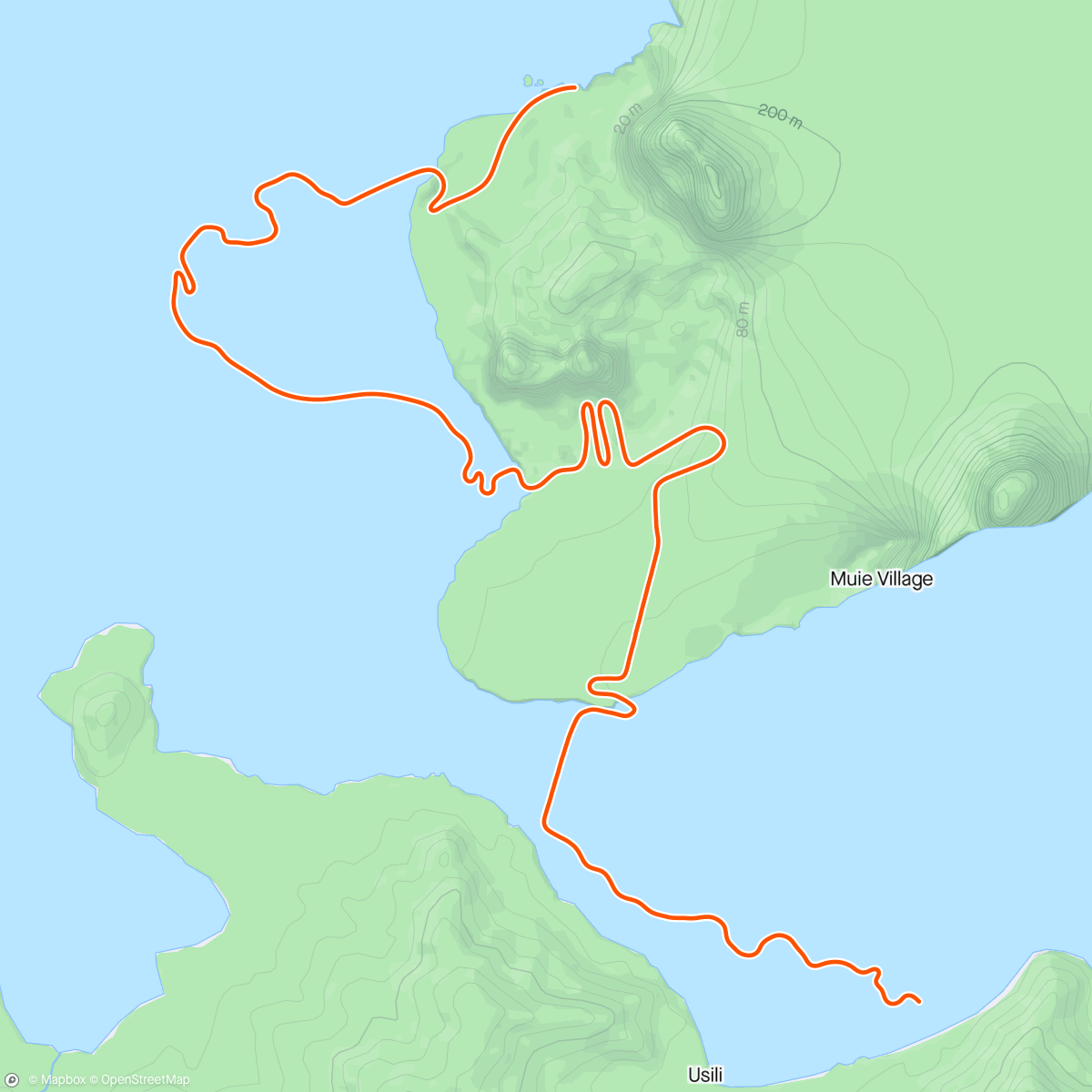 Map of the activity, Zwift - No Nonsense in Watopia