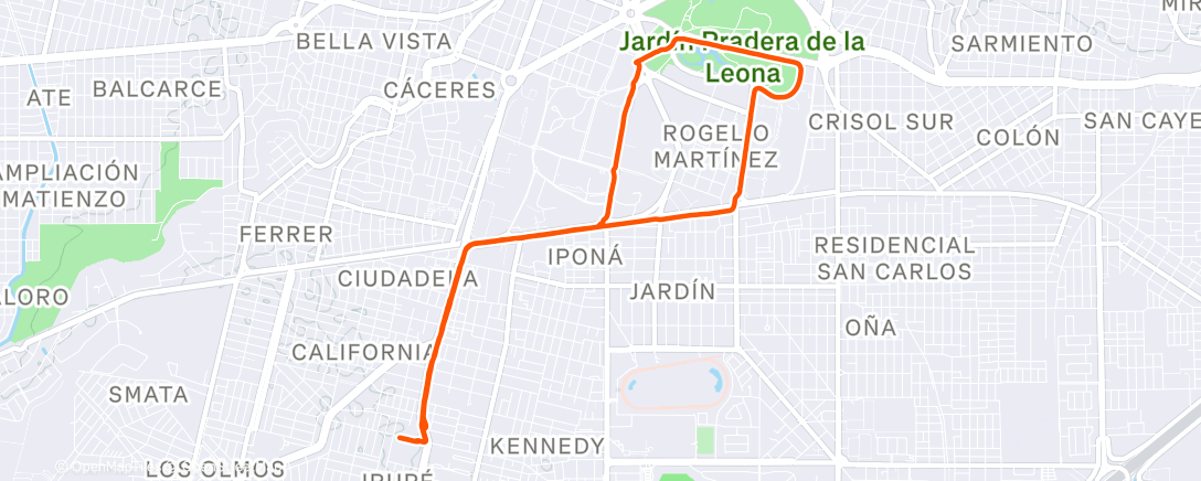 Карта физической активности (Evening Run)