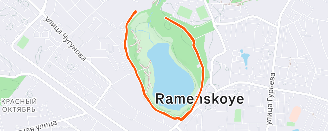 Map of the activity, 12 км темп 4:39 пульс 154