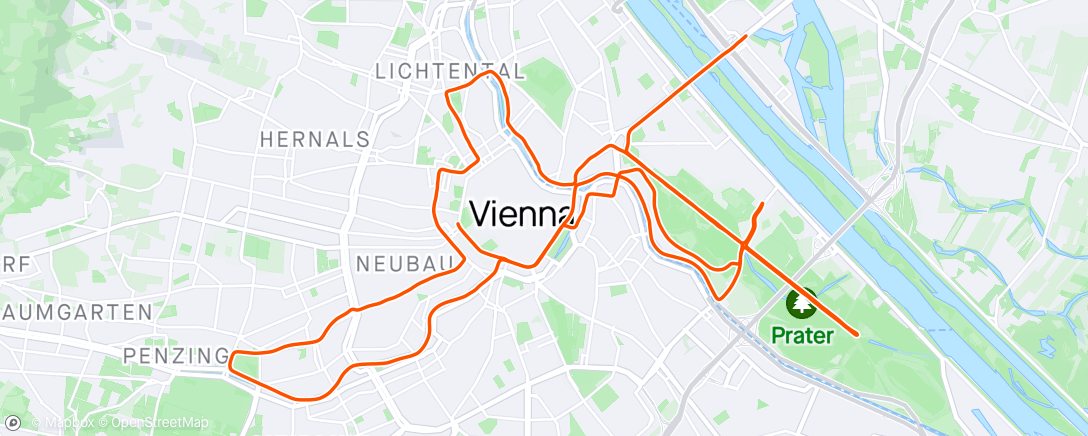 Карта физической активности (Vienna Marathon)