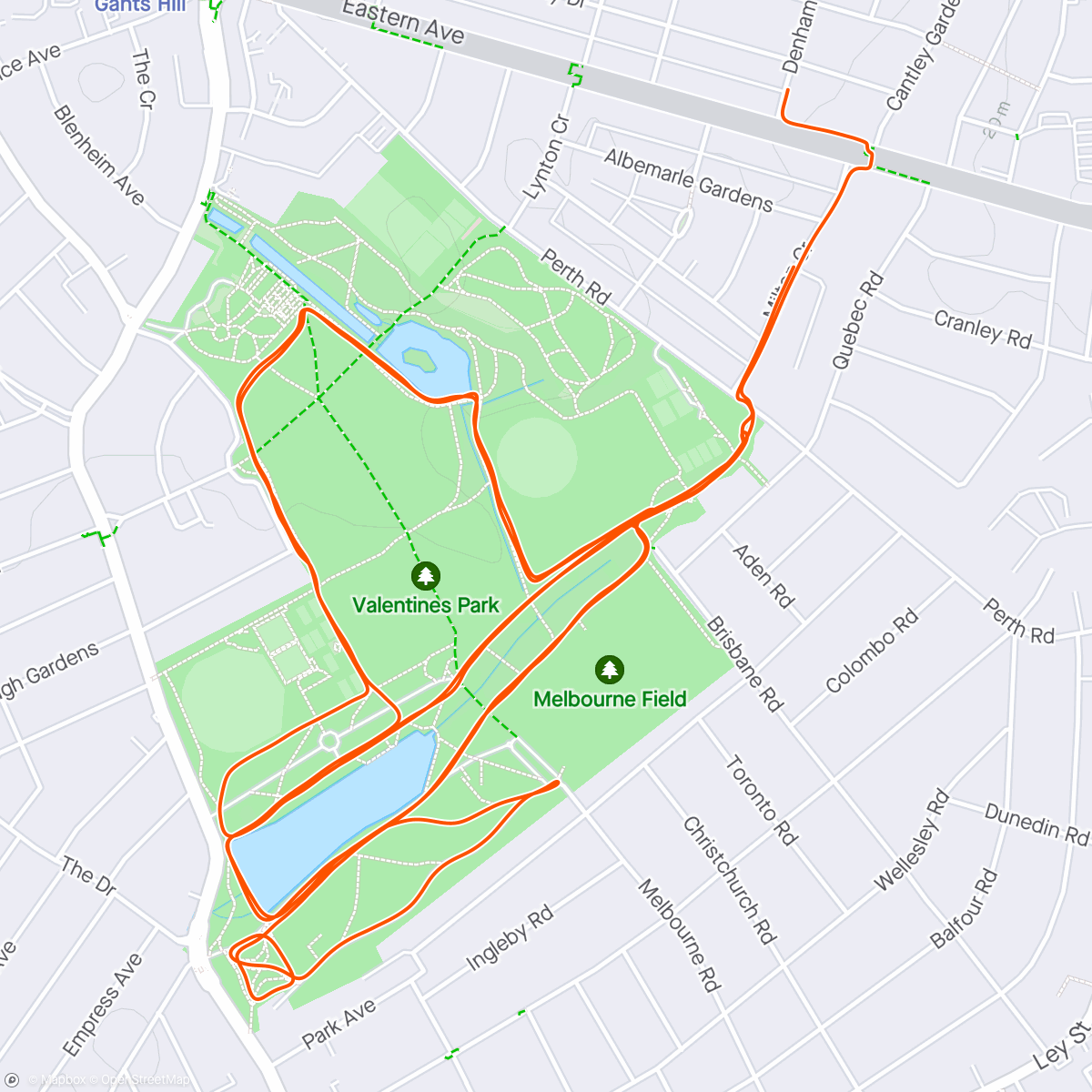 Map of the activity, Party in the park