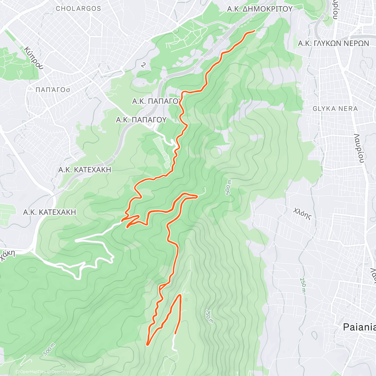 Map of the activity, Morning Run