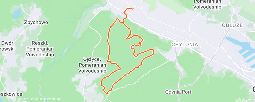 Карта физической активности (Morning Trail Run)