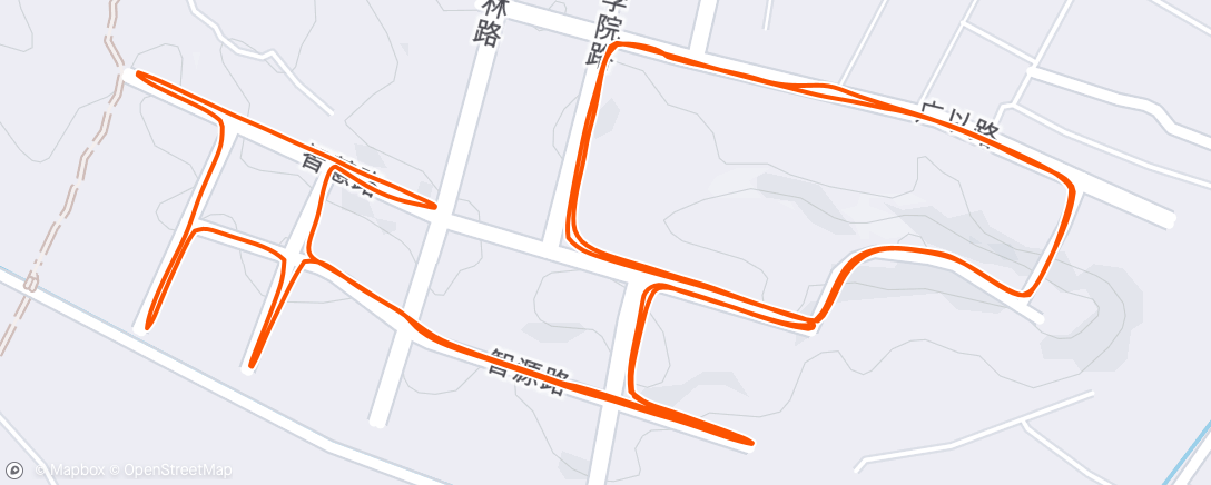 Map of the activity, Evening Run