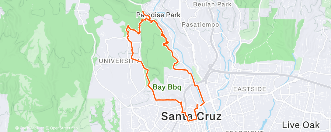 Map of the activity, Morning Run