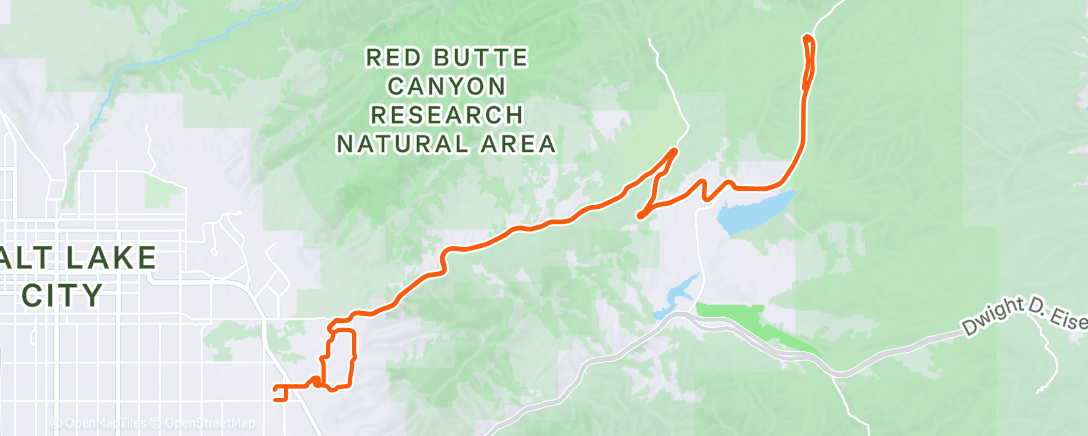 Карта физической активности (Afternoon Ride)