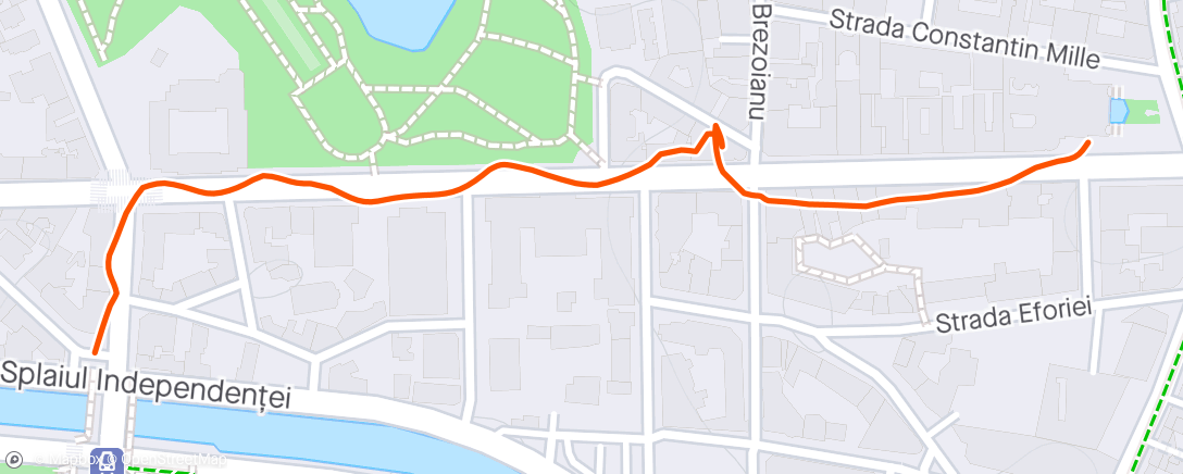 Mapa de la actividad, Evening Walk