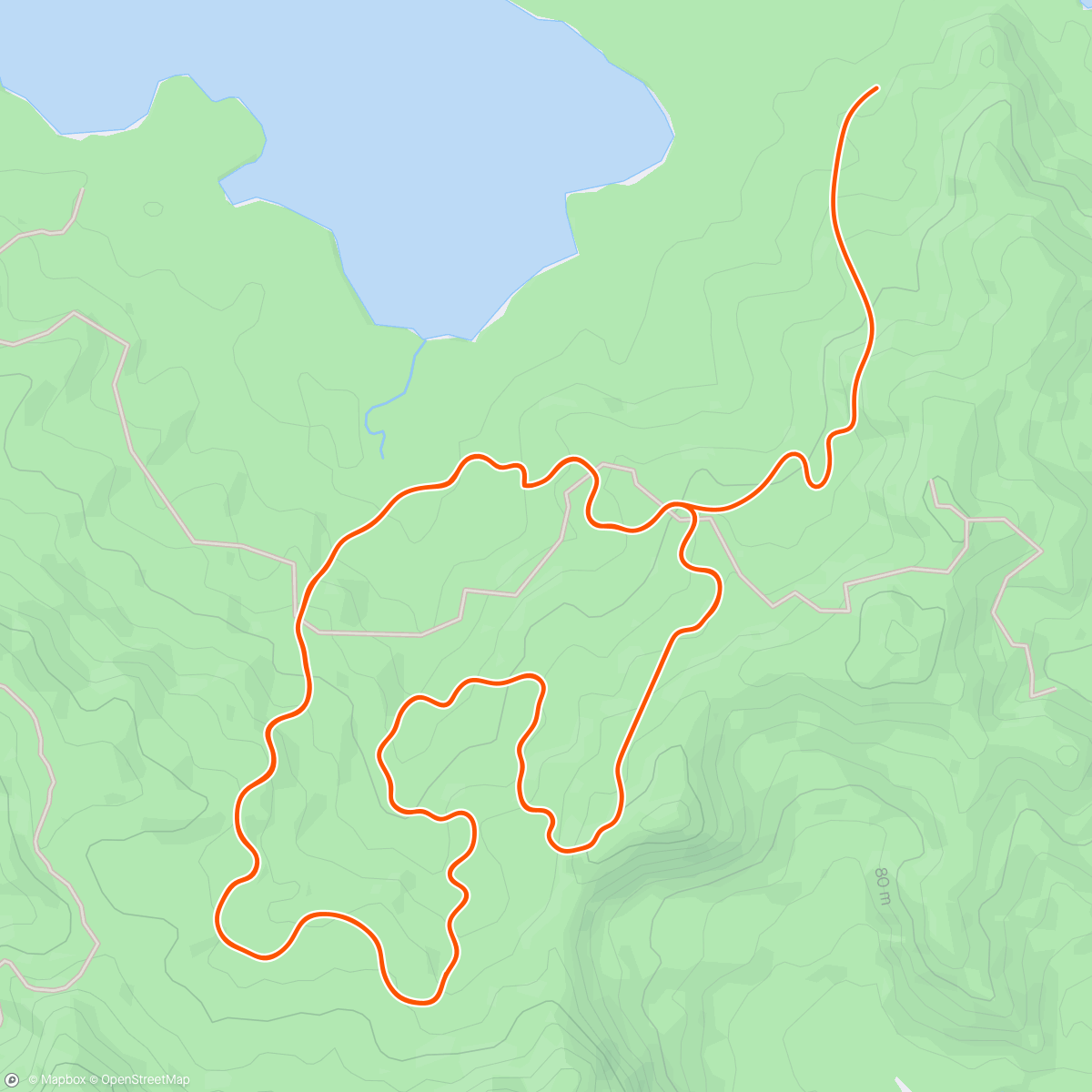 Map of the activity, Zwift - Race: BC Bike Race MTB Race (B) on Jungle Circuit in Watopia