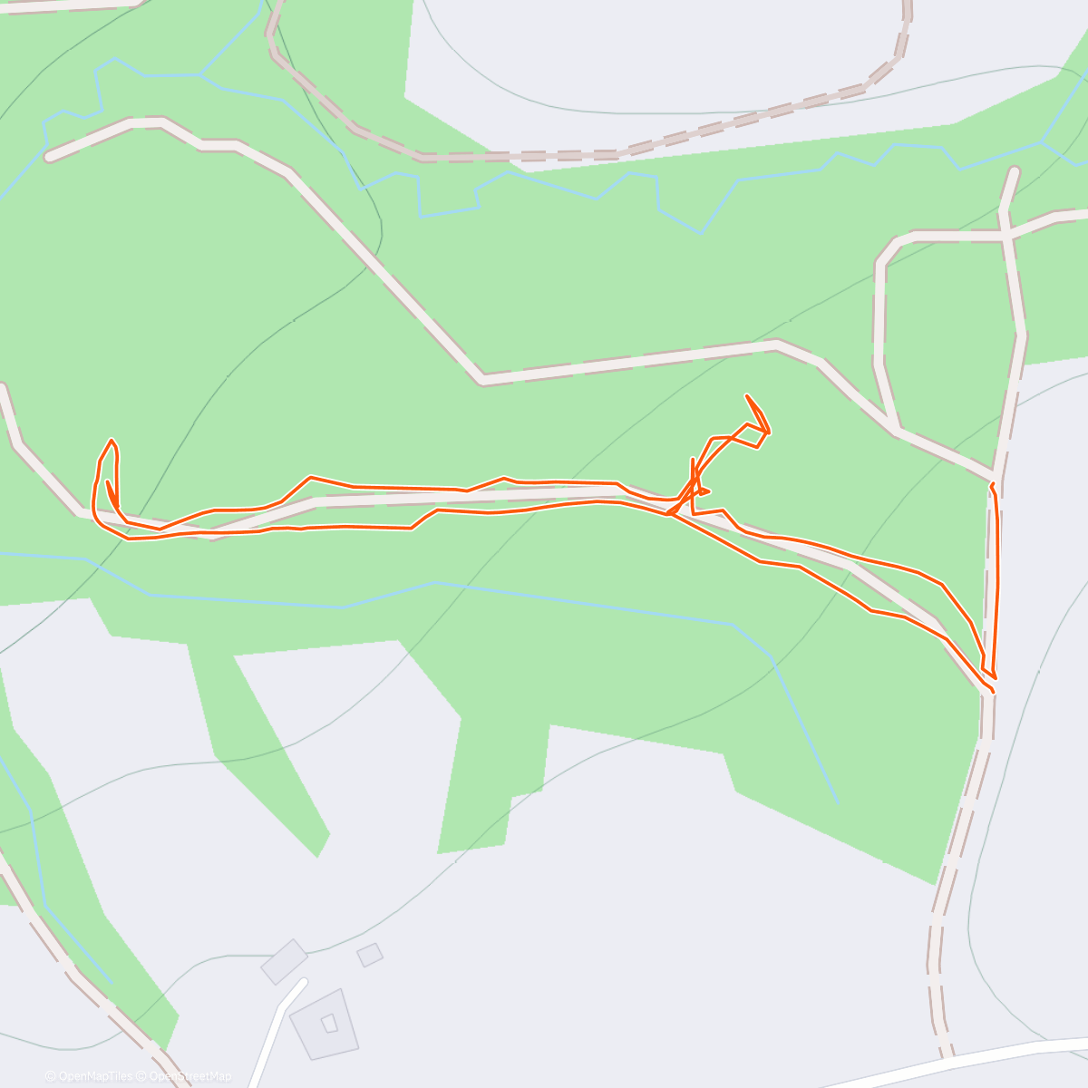 Map of the activity, Waldspaziergang mit Motorsäge 🧑‍🎄 🌲