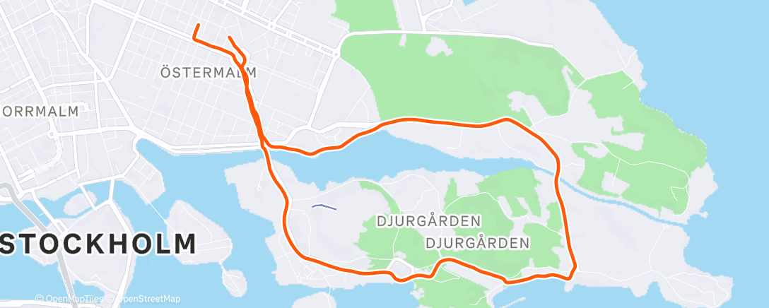 Map of the activity, Evening Run