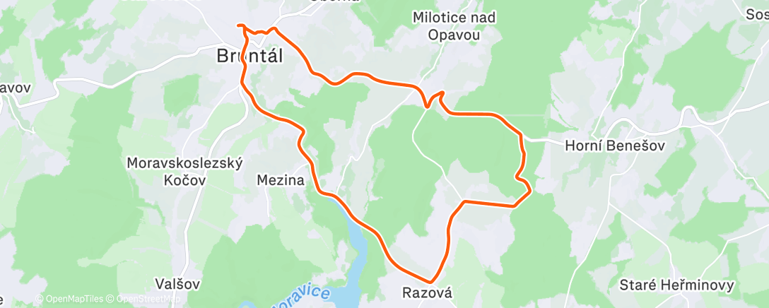 Карта физической активности (Afternoon Ride)