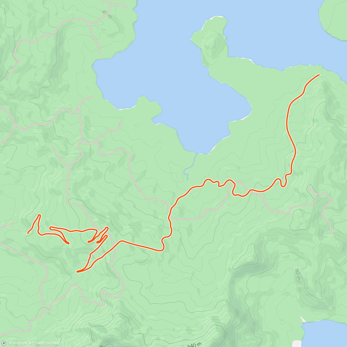 Map of the activity, Zwift - Halvfems in Watopia