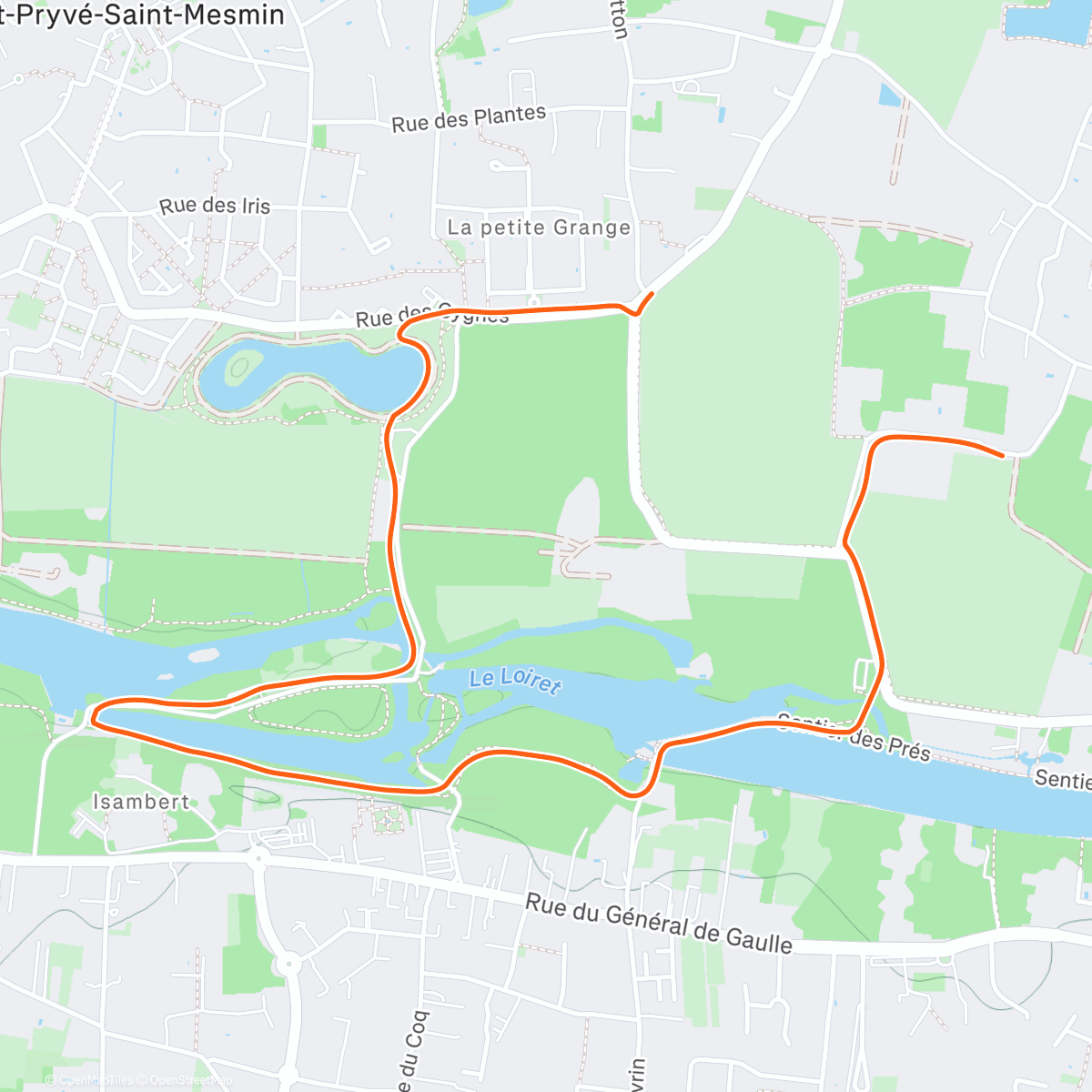 Карта физической активности (🐕☀️)