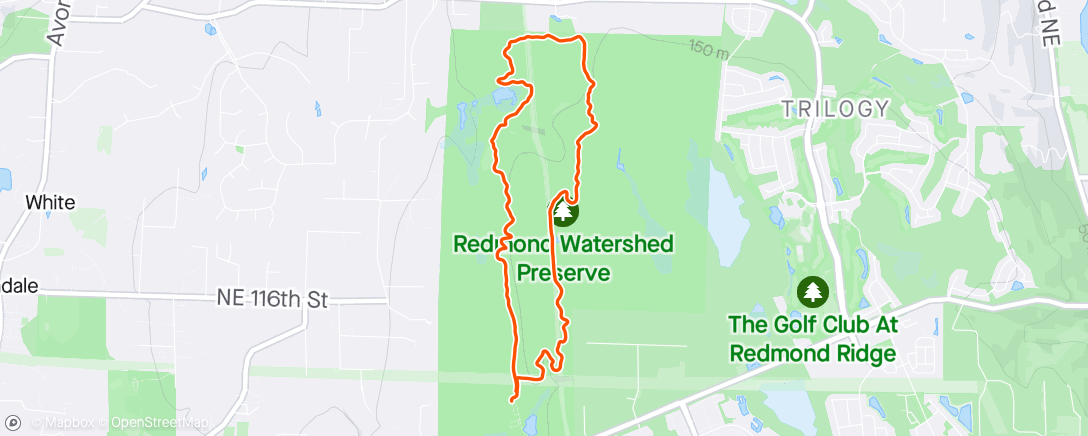 Mapa da atividade, ⛅ Morning Trail Run