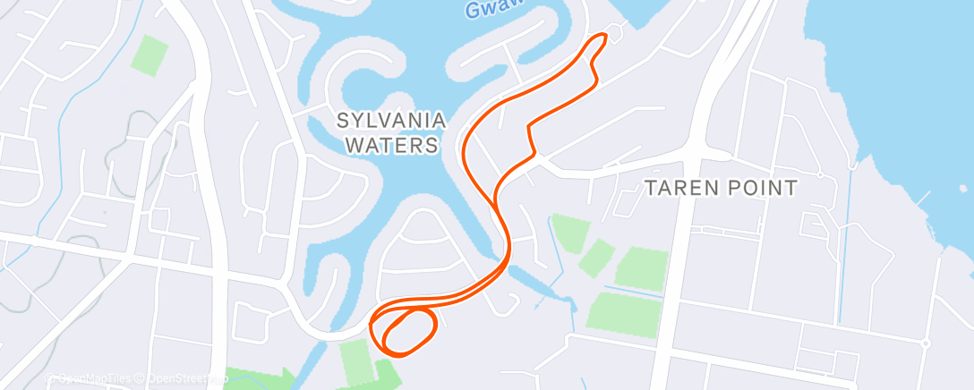 Карта физической активности (Morning Run)