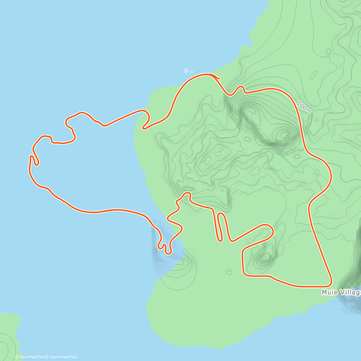 Map of the activity, Zwift - Group Ride: The HERD Kibbitz and Chinwag (D) on Beach Island Loop in Watopia