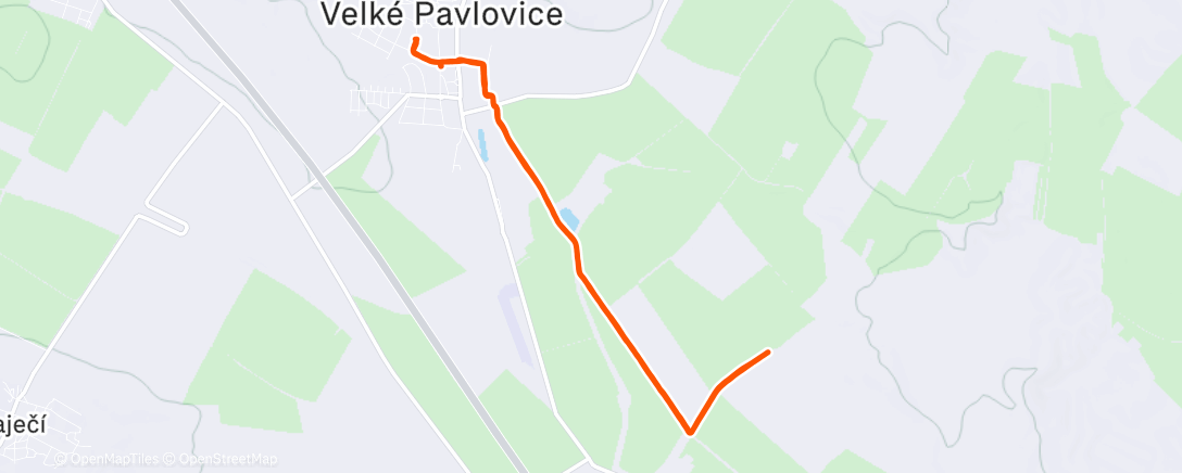 Карта физической активности (Afternoon Run)