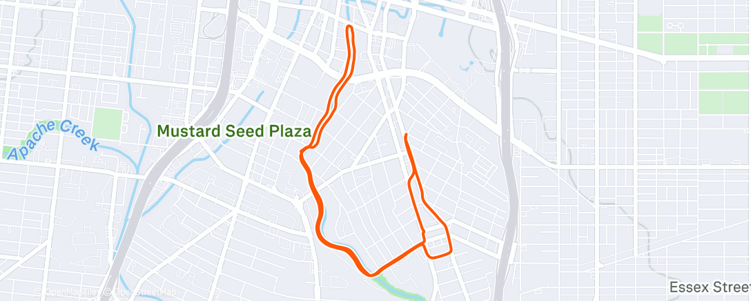 Map of the activity, Morning Run