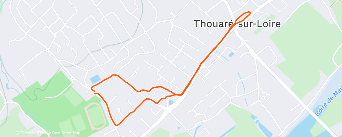 Карта физической активности (Marche le matin)