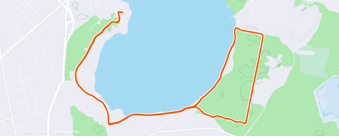 Карта физической активности (Утренний забег)