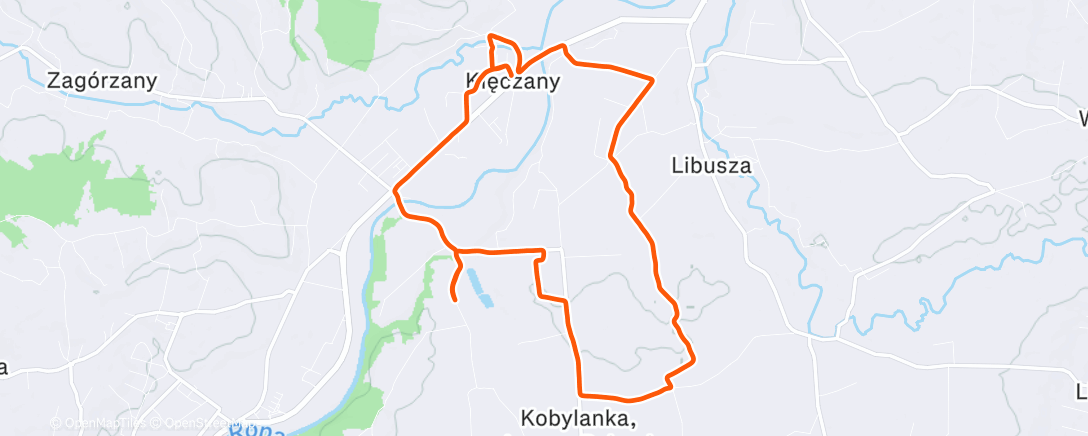 Map of the activity, Morning Run