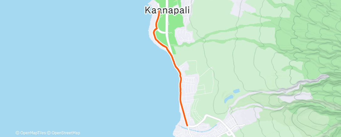 Карта физической активности (Morning Run)