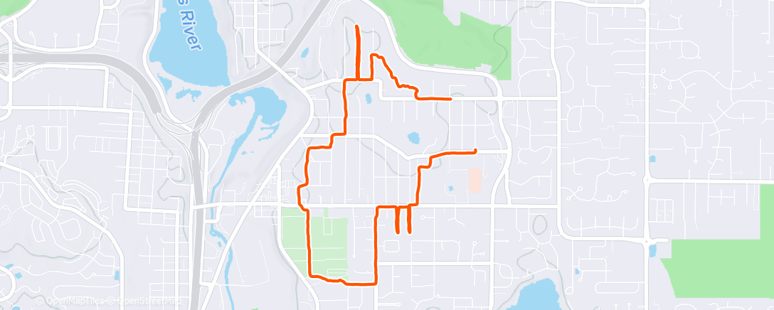 Карта физической активности (Afternoon Run: Afternoon walk.)