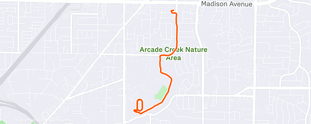 Карта физической активности (Morning Run)