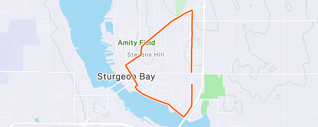 Map of the activity, Fat and happy