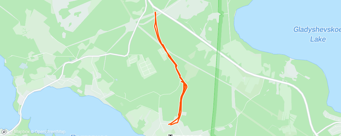 Map of the activity, Afternoon Run