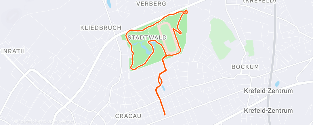 Карта физической активности (Lauf am Mittag)