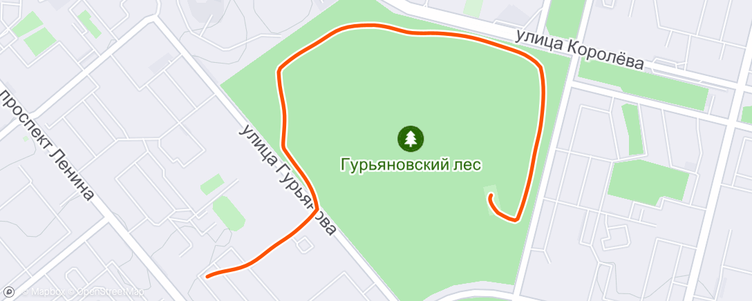 Map of the activity, Morning Run