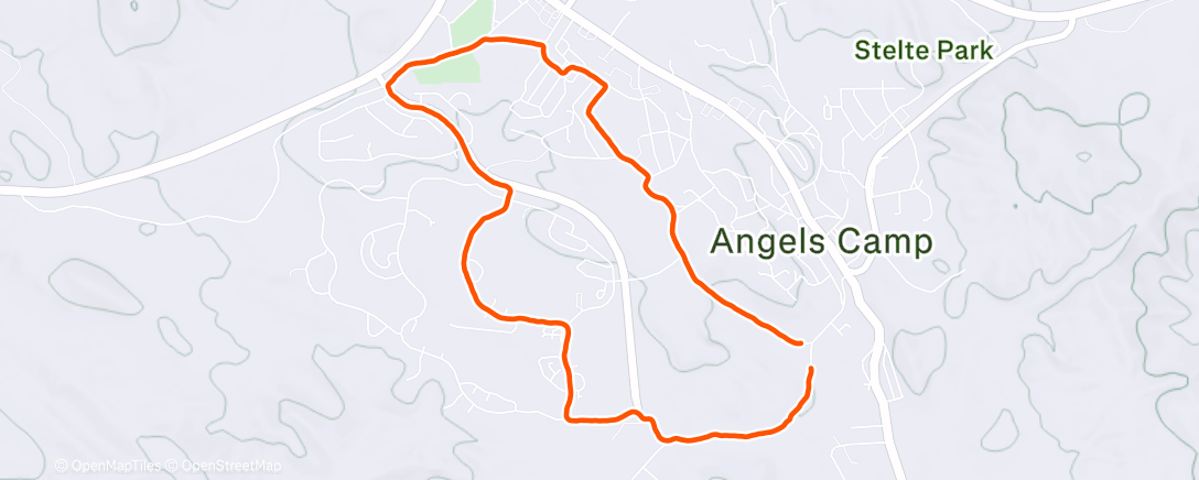 Карта физической активности (Morning Walk)