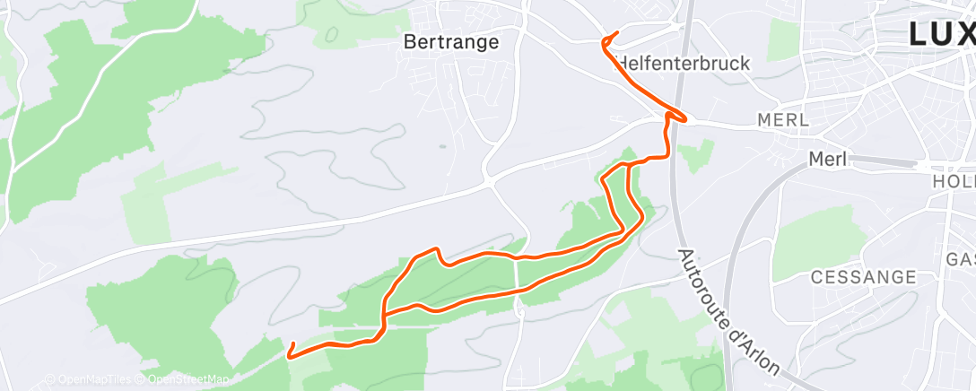 Карта физической активности (Lunch Trail Run)