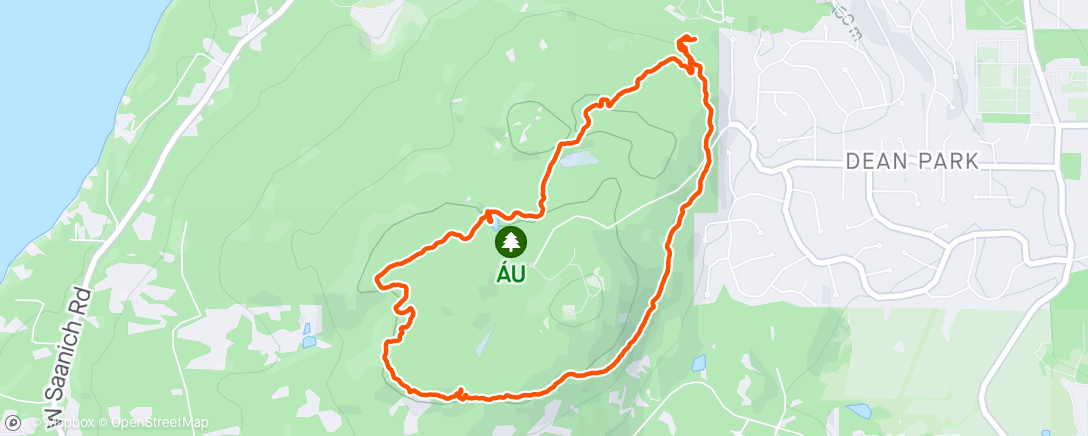 Map of the activity, Mt. Newton