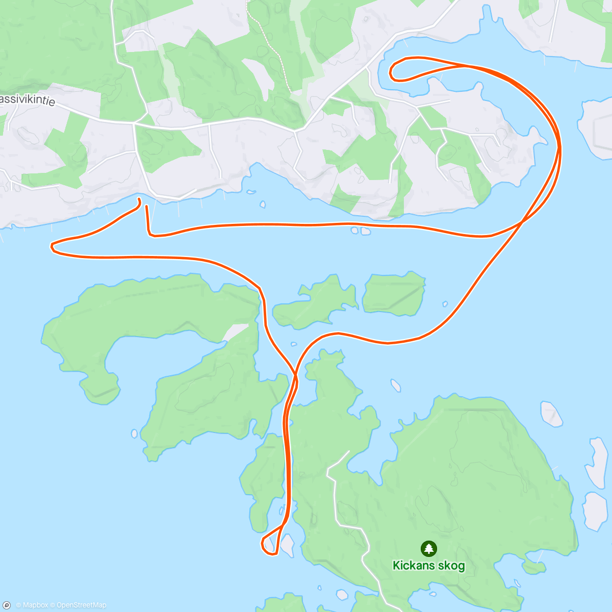 Карта физической активности (Kassiviken)