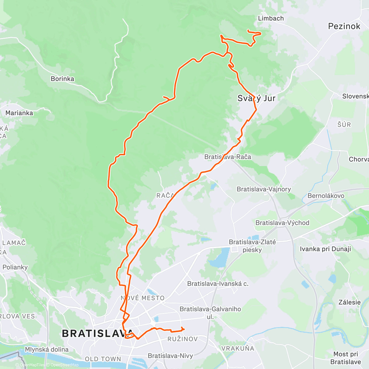 Карта физической активности (☕️🌲)