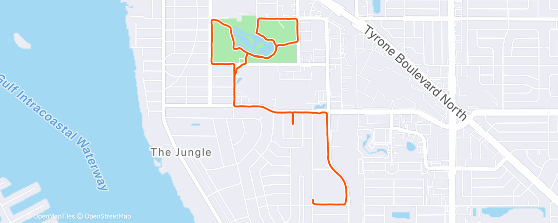 Карта физической активности (Morning Run)