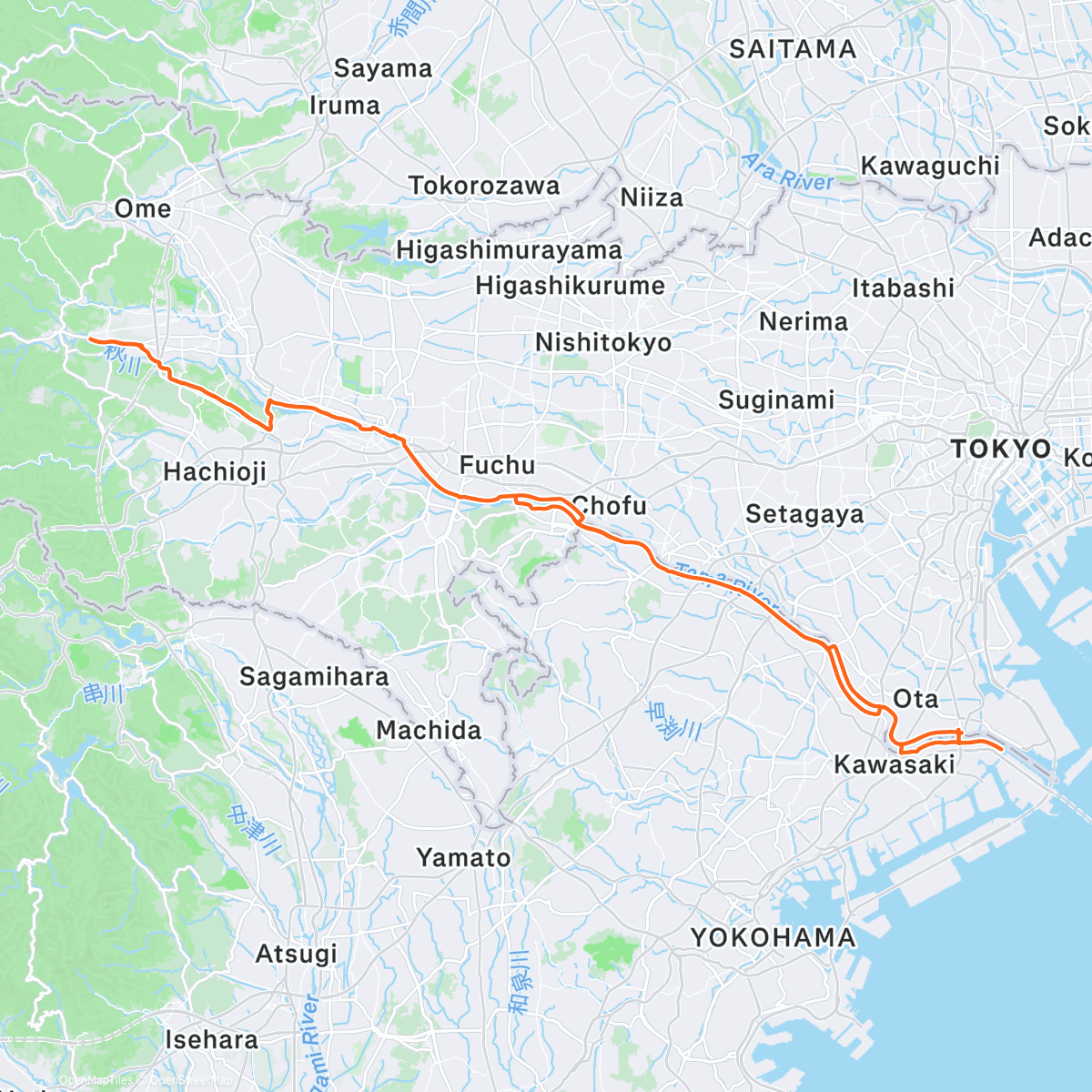 Map of the activity, タマサイ