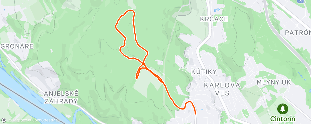 Map of the activity, Lunch Run