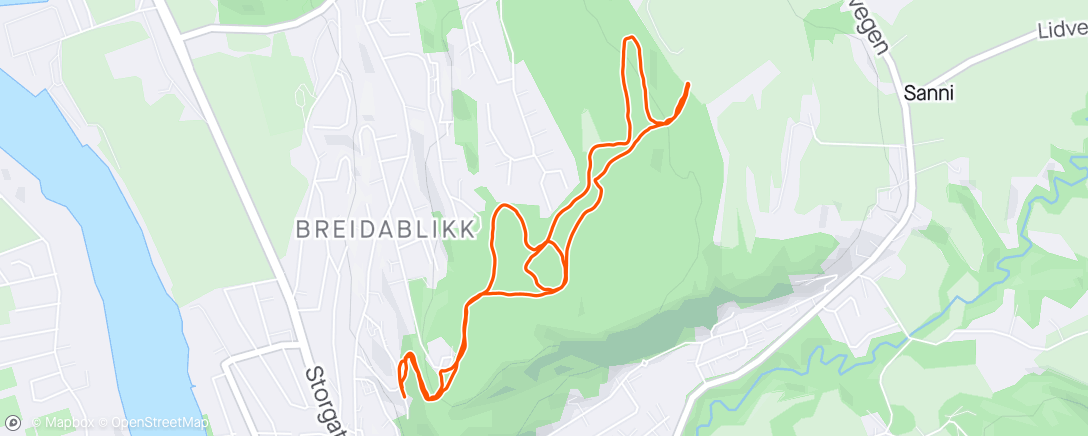 Mapa de la actividad (Borgåsen. Nesten bare jogging i dag.)
