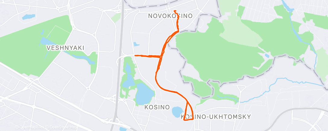Map of the activity, Evening Run