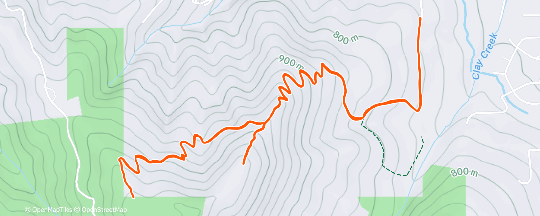 Карта физической активности (Afternoon Run)