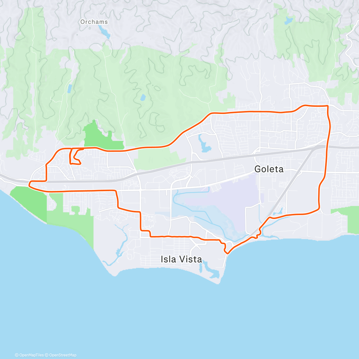 Map of the activity, Cherrio🐝