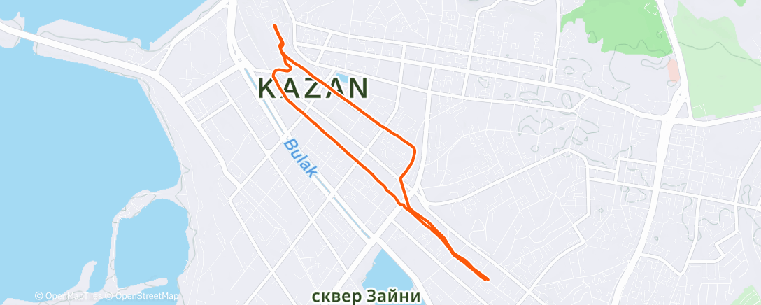 Карта физической активности (Утренний забег)