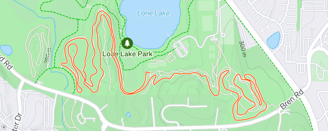 Map of the activity, Lone Lake