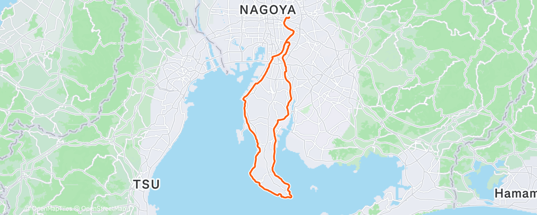 Карта физической активности (朝のライド)