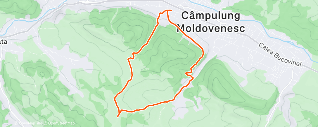 Map of the activity, Morning Trail Run