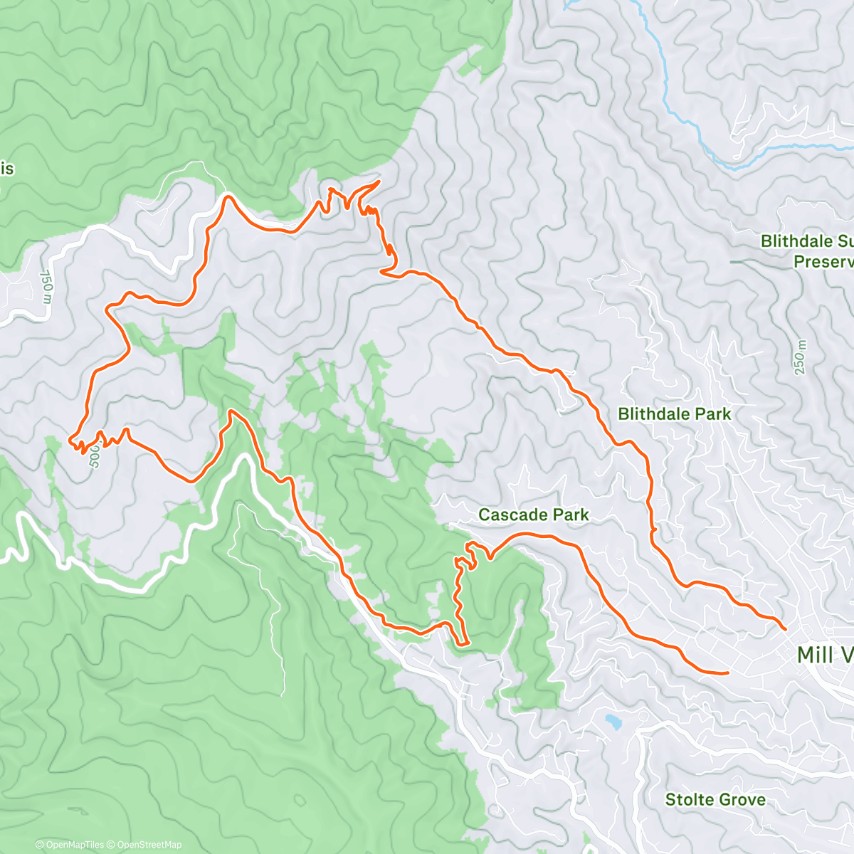 Map of the activity, New Years Tam